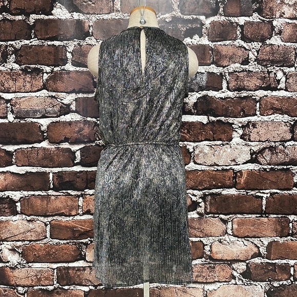 Grifflin Paris Blouson Dress NWT Metallic Sleeveless Keyhole Grey Size Small S - Picture 10 of 16